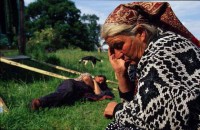 Highlight for Album: Romany Gypsies England