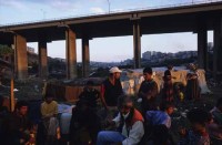 Highlight for Album: Roma Gypsies Turkey Greece