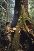 sarawak_borneo006.jpg