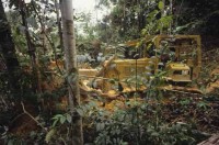 sarawak_borneo027.jpg