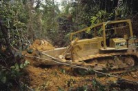 sarawak_borneo029.jpg
