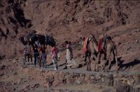 08.Sinai desert trek