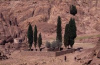 16.Sinai desert trek
