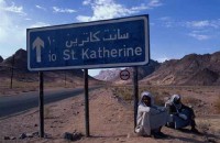 28.Sinai desert trek