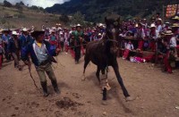 todos santos 06