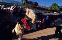 todos santos 18