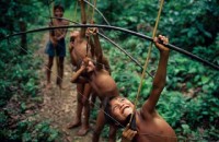 01.Yanomami Deforestation