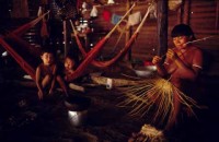 02.Yanomami Deforestation