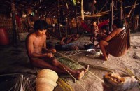 05.Yanomami Deforestation