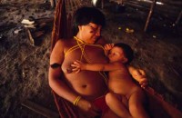 06.Yanomami Deforestation