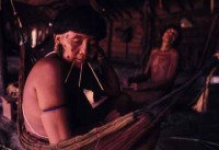 08.Yanomami Deforestation