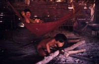 09.Yanomami Deforestation