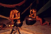12.Yanomami Deforestation