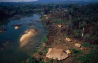 13.Yanomami Deforestation
