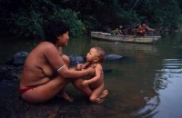 14.Yanomami Deforestation