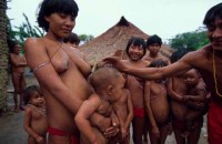 15.Yanomami Deforestation