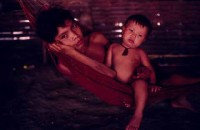 16.Yanomami Deforestation