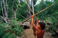 18.Yanomami Deforestation