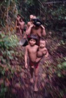 19.Yanomami Deforestation