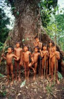 20.Yanomami Deforestation