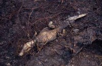 24.Yanomami Deforestation